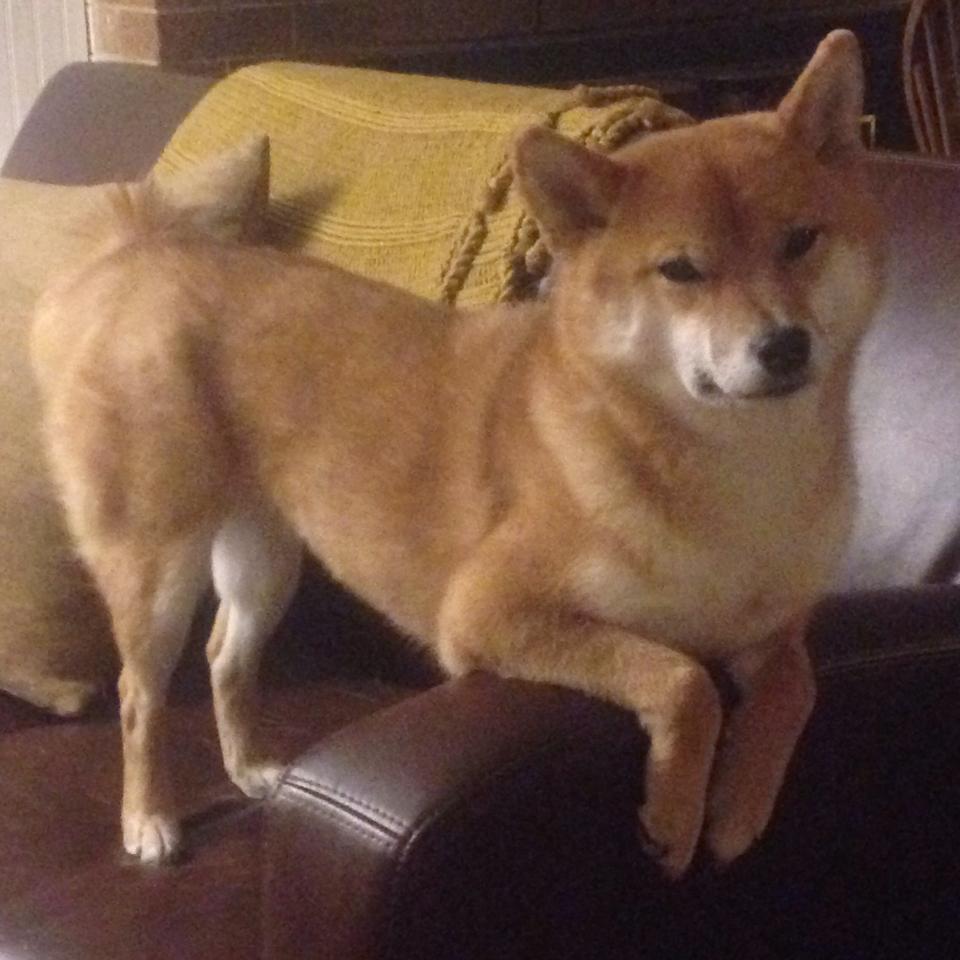 开云体育登陆入口-“最震撼的五大瞬间，精彩片段引爆全场”，最震撼的电影片段