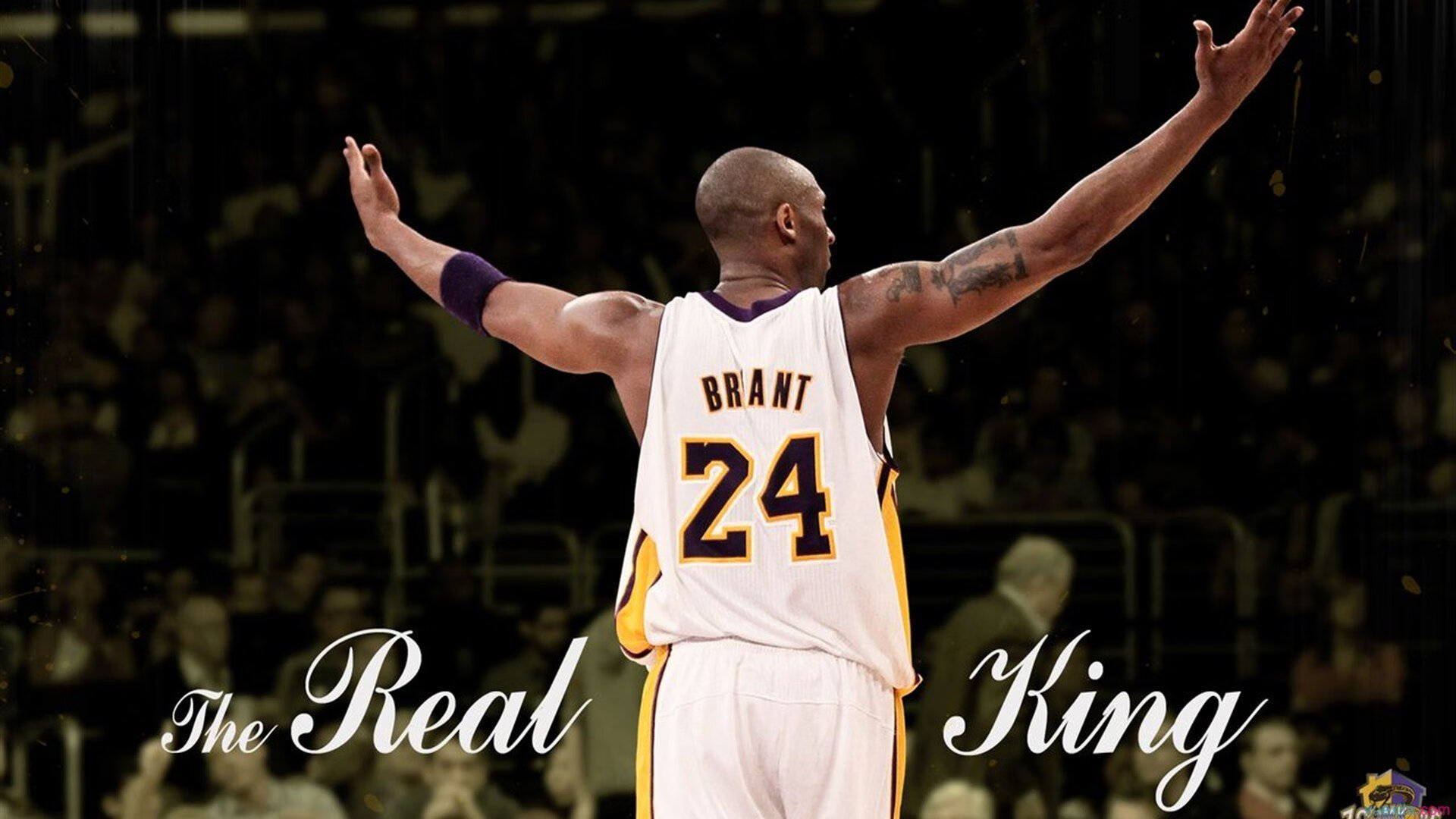 开云官方-公牛小将突破能力明显提升展现潜力，公牛新品